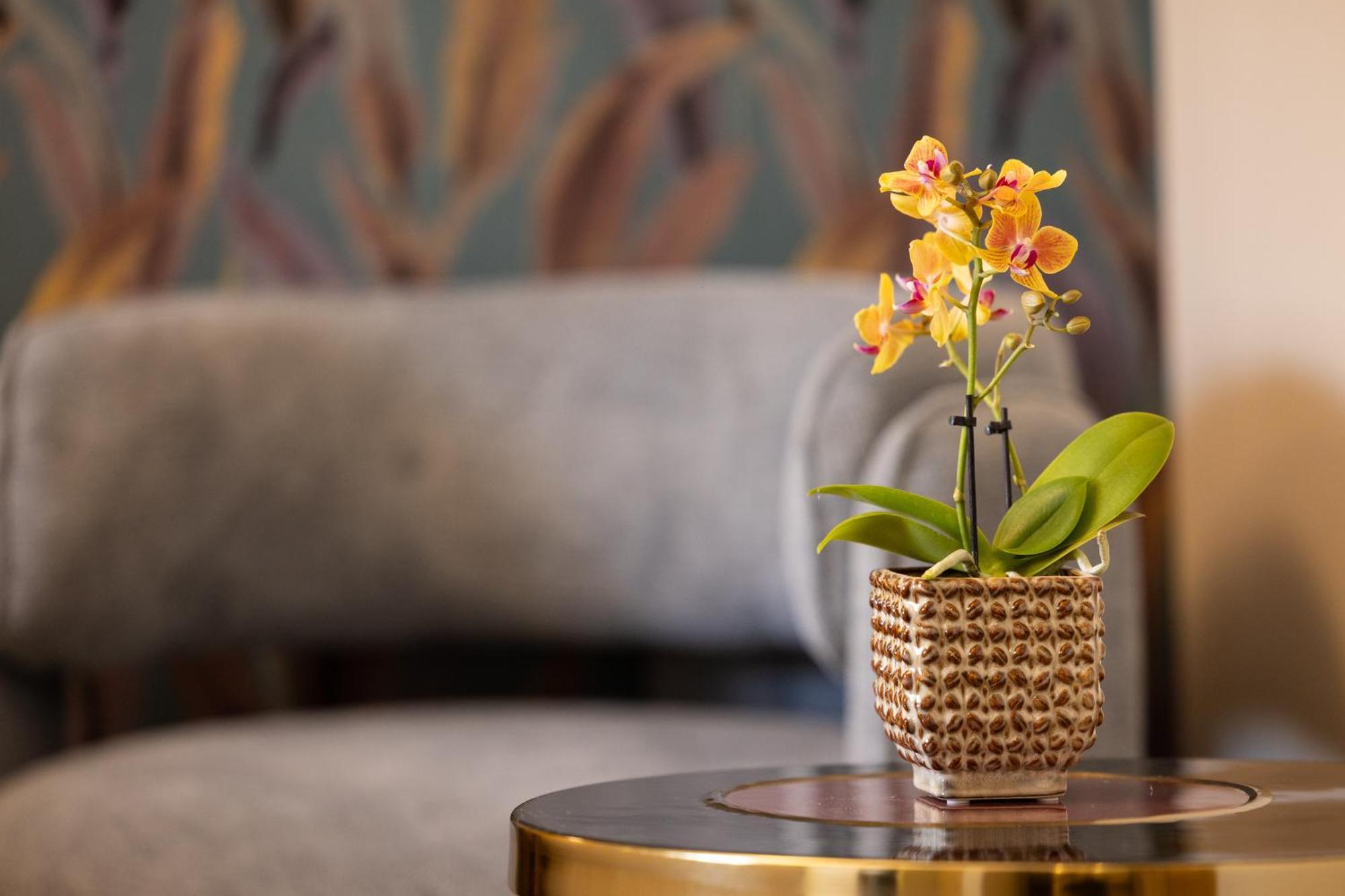 Mavi Luxury Suites Róma Kültér fotó